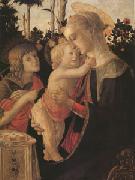 Sandro Botticelli The Virgin and child with John the Baptist (mk05) Spain oil painting artist